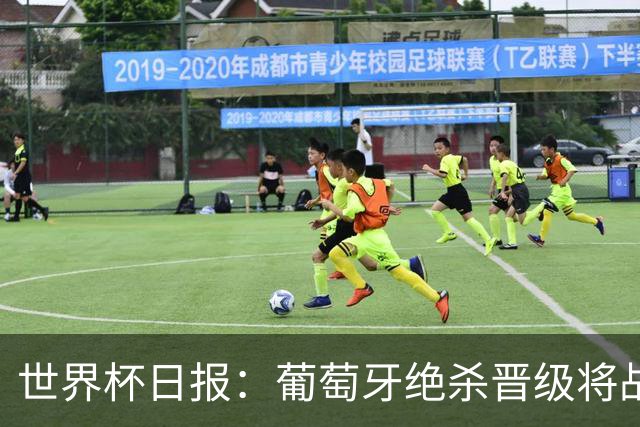 世界杯日报：葡萄牙绝杀晋级将战西班牙 德国队主帅或将下课